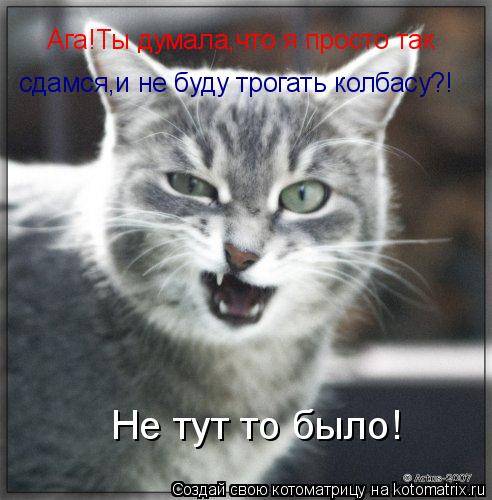 Ага!Ты думала,что я просто так сдамся,и не буду трогать колбасу?! Не тут то было!... Котоматрица: Ага!Ты думала,что я просто так сдамся,и не буду трогать колбасу?! Не тут то было!