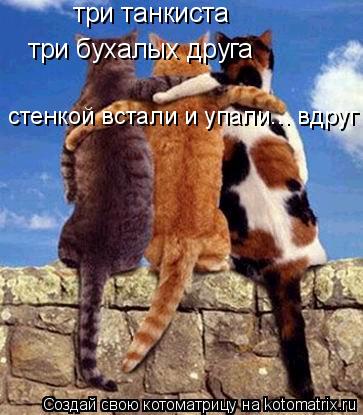 три танкиста три бухалых друга стенкой встали и упали... вдруг... Котоматрица: три танкиста три бухалых друга стенкой встали и упали... вдруг