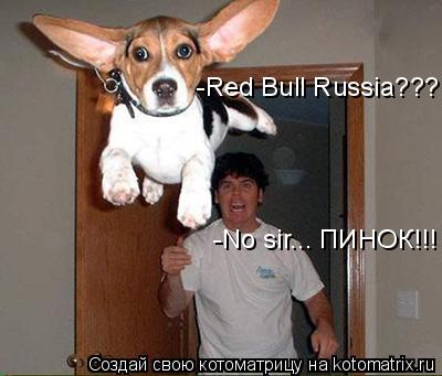 -Red Bull Russia??? -No sir... ПИНОК!!!... Котоматрица: -Red Bull Russia??? -No sir... ПИНОК!!!