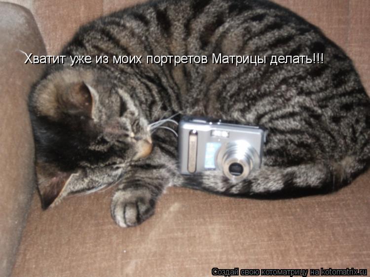 Котоматрица: Хватит уже из моих портретов Матрицы делать!!!