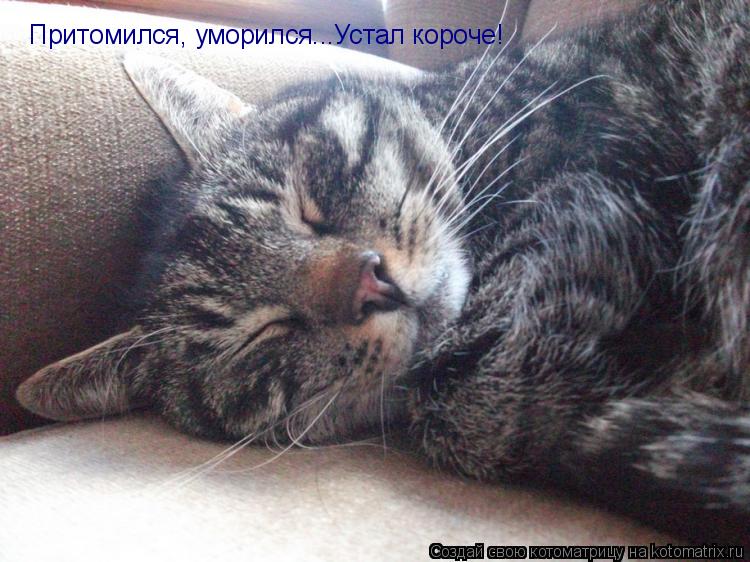 Притомился, уморился...Устал короче!... Котоматрица: Притомился, уморился...Устал короче!