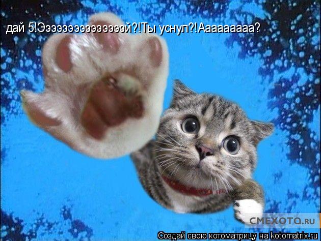 дай 5!Эээээээээээээээй?!Ты уснул?!Ааааааааа?... Котоматрица: дай 5!Эээээээээээээээй?!Ты уснул?!Ааааааааа?