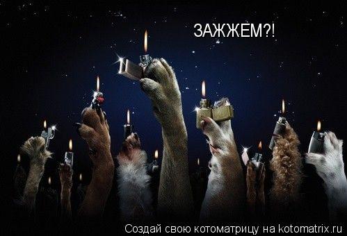 Котоматрица: ЗАЖЖЕМ?!