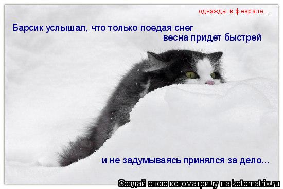Котоматрица: Барсик услышал, что только поедая снег весна придет быстрей и не задумываясь принялся за дело... однажды в феврале...
