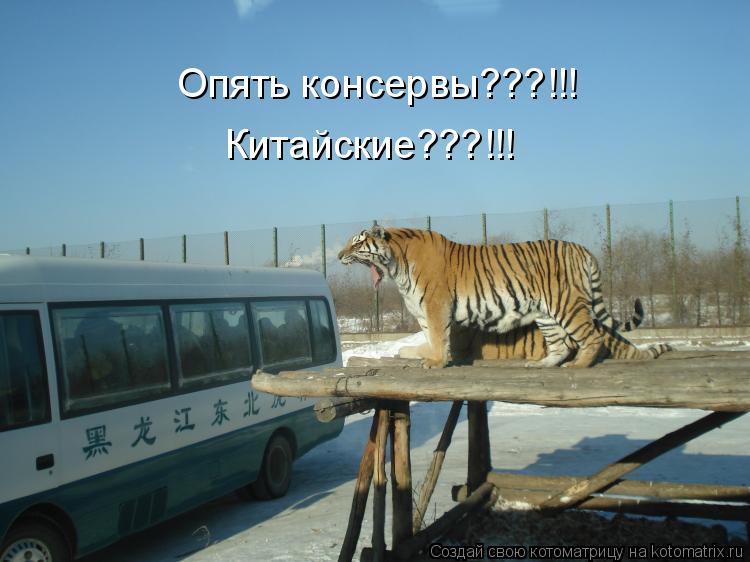 Котоматрица: Опять консервы???!!! Китайские???!!!