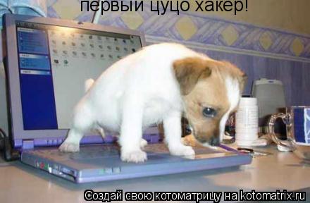 Котоматрица: первый цуцо хакер!