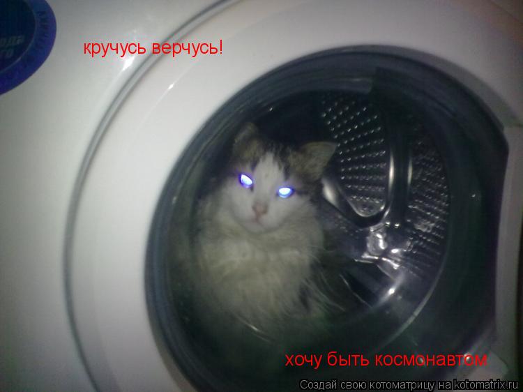 Котоматрица: кручусь верчусь! хочу быть космонавтом