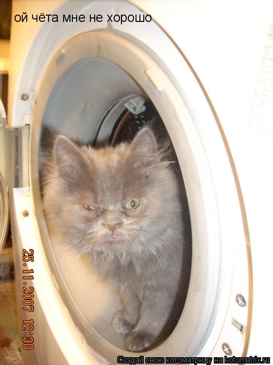 Котоматрица: ой чёта мне не хорошо