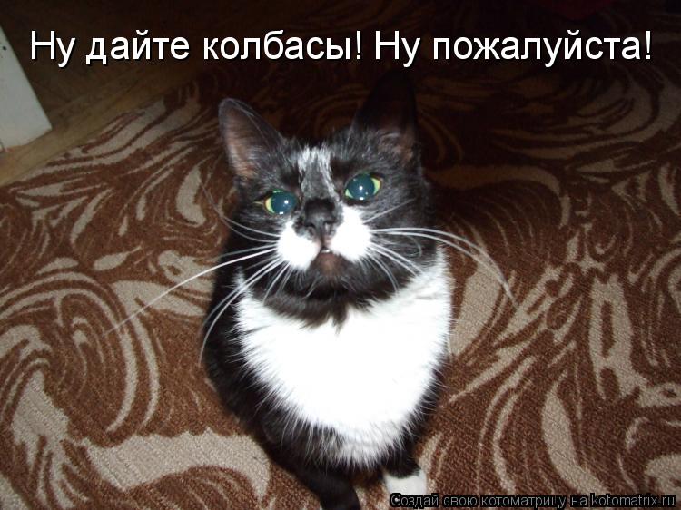 Котоматрица: Ну дайте колбасы! Ну пожалуйста!