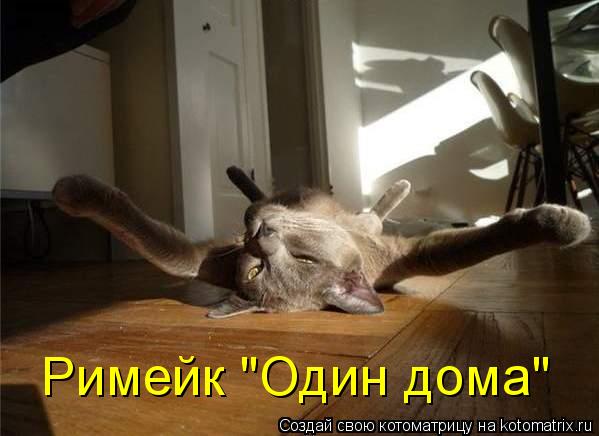 Котоматрица: Римейк "Один дома"