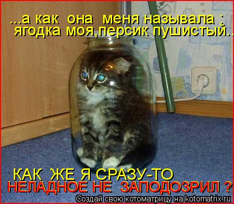 ...а как она меня называла : ягодка моя,персик пушистый... КАК ЖЕ Я СРАЗУ-ТО НЕЛАДНОЕ НЕ ЗАПОДОЗ... Котоматрица: ...а как она меня называла : ягодка моя,персик пушистый... КАК ЖЕ Я СРАЗУ-ТО НЕЛАДНОЕ НЕ ЗАПОДОЗРИЛ ?.. НЕЛАДНОЕ НЕ ЗАПОДОЗРИЛ ?..