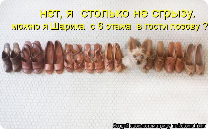 нет, я столько не сгрызу. можно я Шарика с 6 этажа в гости позову ?... Котоматрица: нет, я столько не сгрызу. можно я Шарика с 6 этажа в гости позову ?