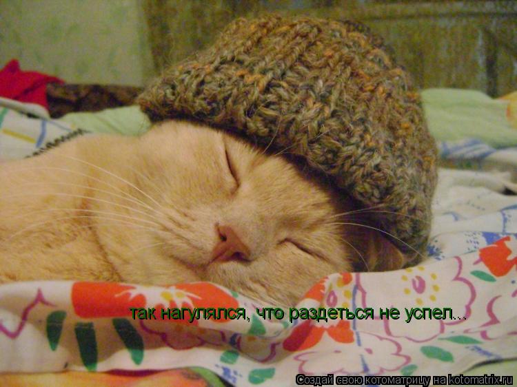 так нагулялся, что раздеться не успел...... Котоматрица: так нагулялся, что раздеться не успел...