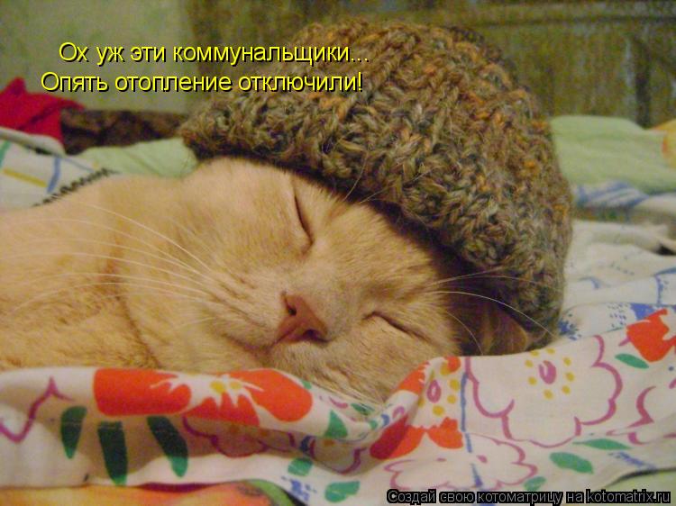 Ох уж эти коммунальщики... Ох уж эти коммунальщики... Опять отопление отключили! Опять отопление откл... Котоматрица: Ох уж эти коммунальщики... Ох уж эти коммунальщики... Опять отопление отключили! Опять отопление отключили!