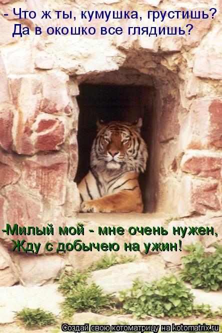 - Что ж ты, кумушка, грустишь? Да в окошко все глядишь? -Милый мой - мне очень нужен, Жду с добычею... Котоматрица: - Что ж ты, кумушка, грустишь? Да в окошко все глядишь? -Милый мой - мне очень нужен, Жду с добычею на ужин!