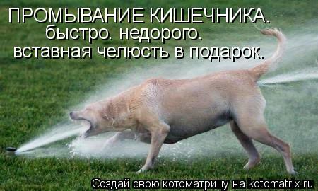 ПРОМЫВАНИЕ КИШЕЧНИКА. быстро. недорого. вставная челюсть в подарок.... Котоматрица: ПРОМЫВАНИЕ КИШЕЧНИКА. быстро. недорого. вставная челюсть в подарок.