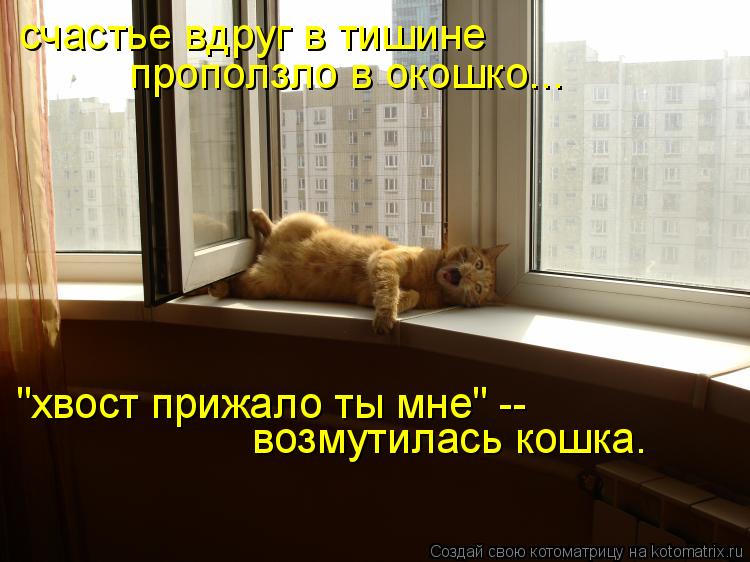 счастье вдруг в тишине проползло в окошко... "хвост прижало ты мне" -- возмутилась кошка.... Котоматрица: счастье вдруг в тишине проползло в окошко... "хвост прижало ты мне" -- возмутилась кошка.