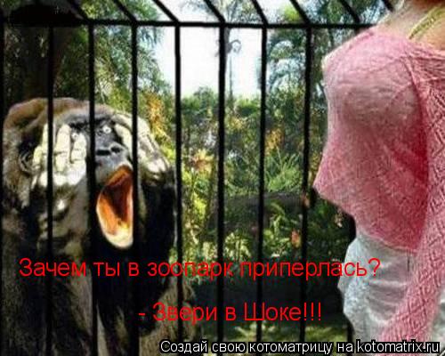 Зачем ты в зоопарк приперлась? - Звери в Шоке!!!... Котоматрица: Зачем ты в зоопарк приперлась? - Звери в Шоке!!!