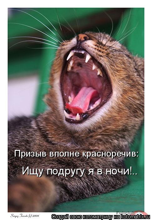Призыв вполне красноречив: Ищу подругу я в ночи!..... Котоматрица: Призыв вполне красноречив: Ищу подругу я в ночи!..
