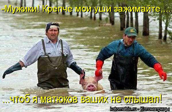 Котоматрица: -Мужики! Крепче мои уши зажимайте,... ...чтоб я матюков ваших не слышал!