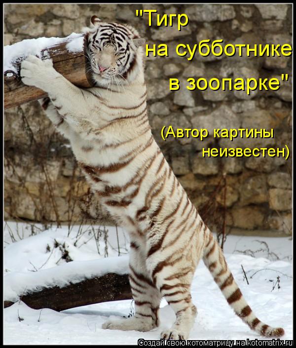 Котоматрица: "Тигр  на субботнике в зоопарке" (Автор картины неизвестен)
