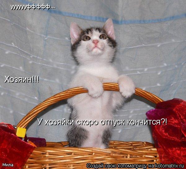 Хозяин!!! У хозяйки скоро отпуск кончится?! ууууууффффф...... Котоматрица: Хозяин!!! У хозяйки скоро отпуск кончится?! ууууууффффф...