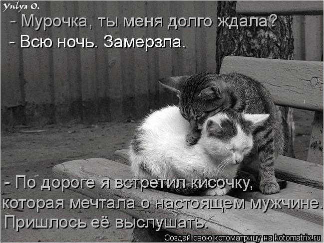 - Мурочка, ты меня долго ждала? - Всю ночь. Замерзла. - По дороге я встретил кисочку, которая мечтал... Котоматрица: - Мурочка, ты меня долго ждала? - Всю ночь. Замерзла. - По дороге я встретил кисочку, которая мечтала о настоящем мужчине. Пришлось её выслушат