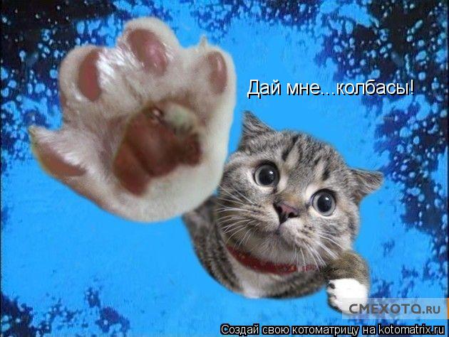 Дай мне...колбасы!... Котоматрица: Дай мне...колбасы!