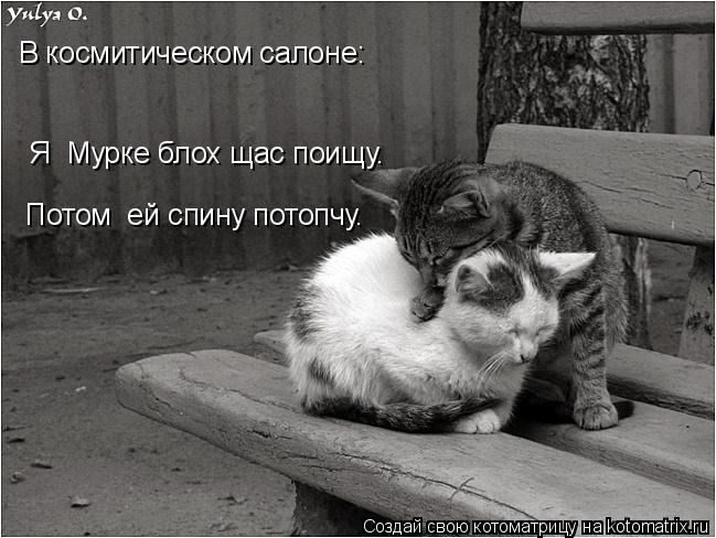 В космитическом салоне: Я Мурке блох щас поищу. Потом ей спину потопчу.... Котоматрица: В космитическом салоне: Я Мурке блох щас поищу. Потом ей спину потопчу.