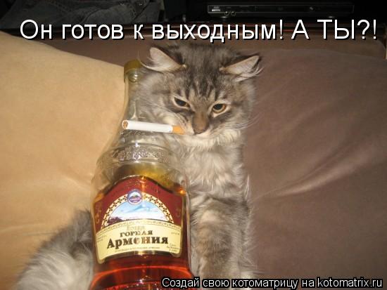 Он готов к выходным! А ТЫ?!... Котоматрица: Он готов к выходным! А ТЫ?!