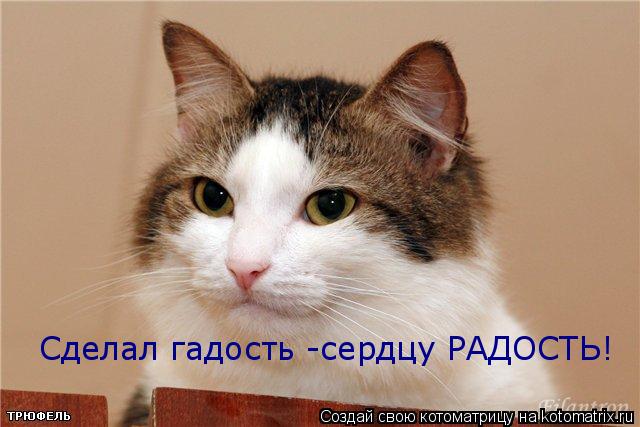 Сделал гадость -сердцу РАДОСТЬ!... Котоматрица: Сделал гадость -сердцу РАДОСТЬ!