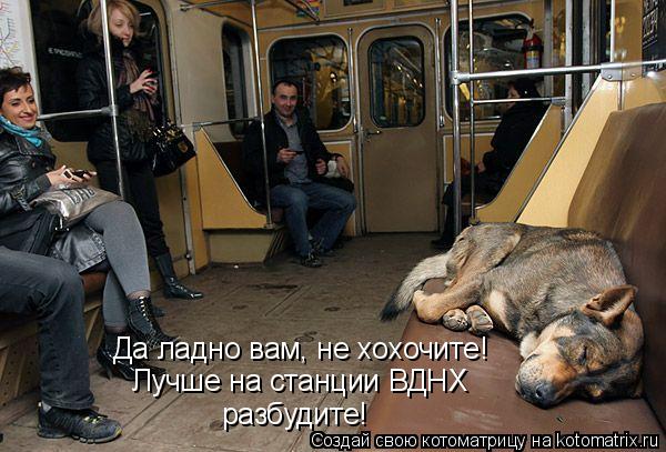 Да ладно вам, не хохочите! Лучше на станции ВДНХ разбудите!... Котоматрица: Да ладно вам, не хохочите! Лучше на станции ВДНХ разбудите!