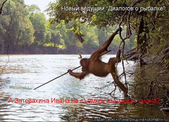Котоматрица: Новый ведущий "Диалогов о рыбалке": - А Затевахина Ивана на съёмках выдержит лиана?