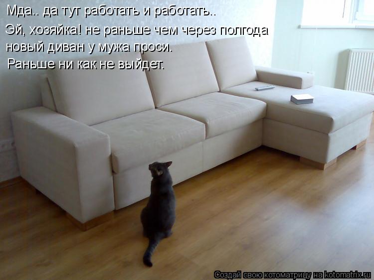 Котоматрица: Мда.. да тут работать и работать.. Эй, хозяйка! не раньше чем через полгода  новый диван у мужа проси. Раньше ни как не выйдет.