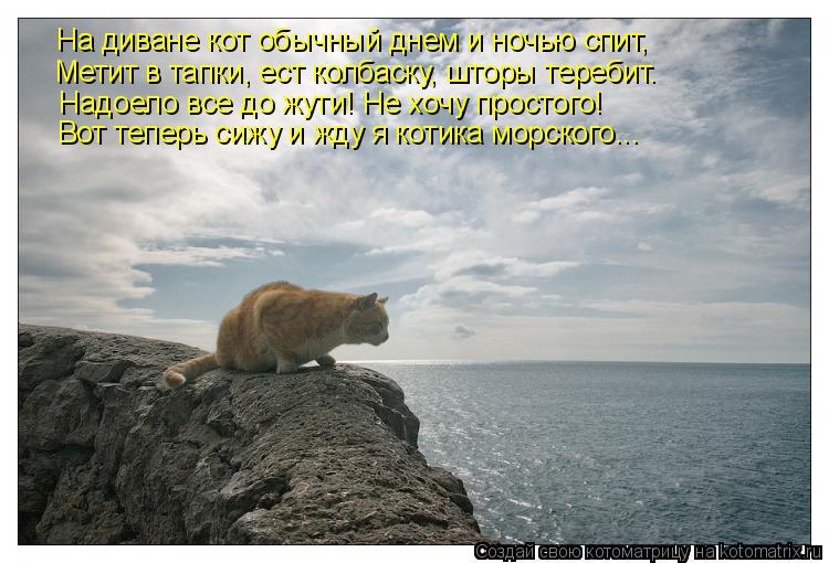 На диване кот обычный днем и ночью спит, Метит в тапки, ест колбаску, шторы теребит. Надоело все до ж... Котоматрица: На диване кот обычный днем и ночью спит, Метит в тапки, ест колбаску, шторы теребит. Надоело все до жути! Не хочу простого! Вот теперь сижу и ж