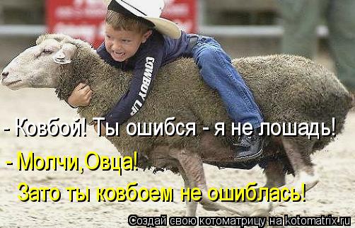Котоматрица: - Ковбой! Ты ошибся - я не лошадь! - Молчи,Овца!  Зато ты ковбоем не ошиблась!