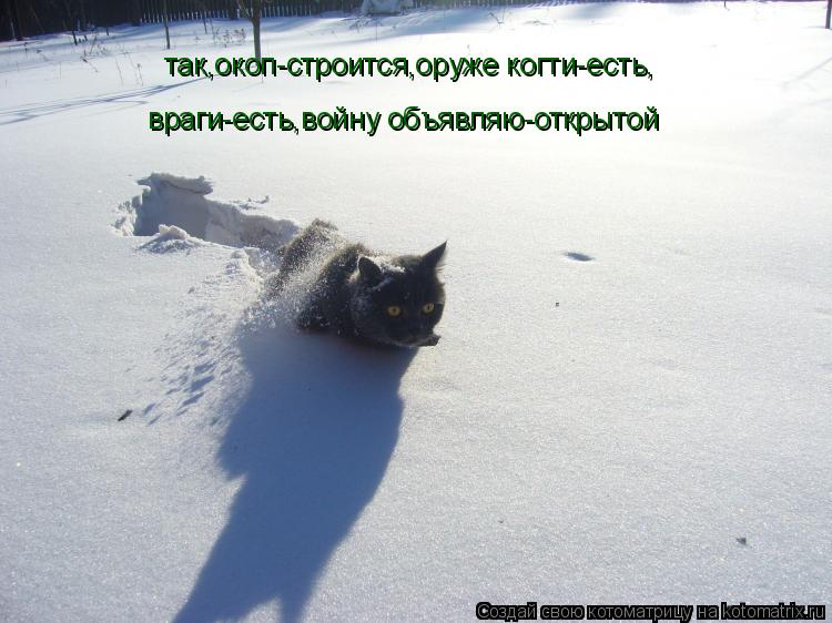 Котоматрица: так,окоп-строится,оруже когти-есть, враги-есть,войну объявляю-открытой