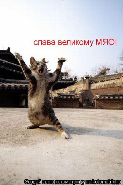 Котоматрица: слава великому МЯО!