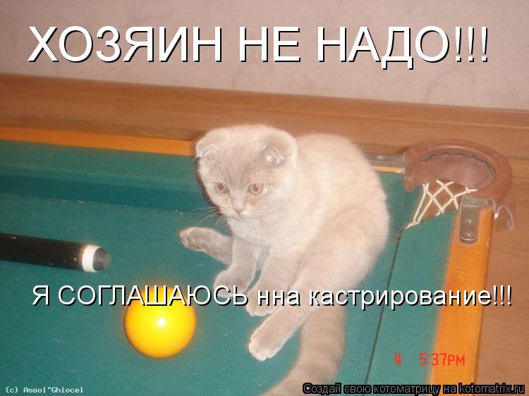 Котоматрица: ХОЗЯИН НЕ НАДО!!! Я СОГЛАШАЮСЬ нна кастрирование!!!