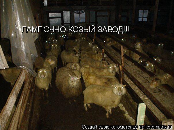 Котоматрица: ЛАМПОЧНО-КОЗЫЙ ЗАВОД!!!