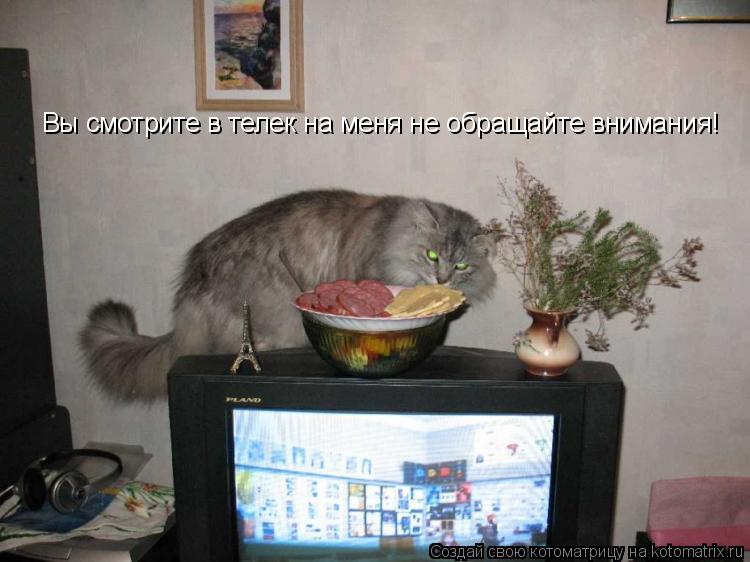 Котоматрица: Вы смотрите в телек на меня не обращайте внимания!