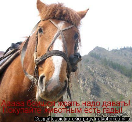 Ааааа боишся жрать надо давать! Покупайте животным есть гады!... Котоматрица: Ааааа боишся жрать надо давать! Покупайте животным есть гады!