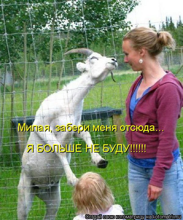 Милая, забери меня отсюда... Я БОЛЬШЕ НЕ БУДУ!!!!!!... Котоматрица: Милая, забери меня отсюда... Я БОЛЬШЕ НЕ БУДУ!!!!!!