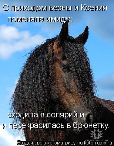 С приходом весны и Ксения поменяла имидж: сходила в солярий и и перекрасилась в брюнетку.... Котоматрица: С приходом весны и Ксения поменяла имидж: сходила в солярий и и перекрасилась в брюнетку.