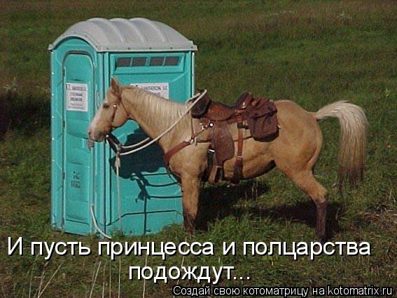 Котоматрица: И пусть принцесса и полцарства подождут...