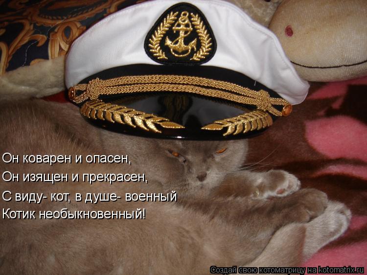Котоматрица: Он коварен и опасен, Он изящен и прекрасен, С виду- кот, в душе- военный Котик необыкновенный!