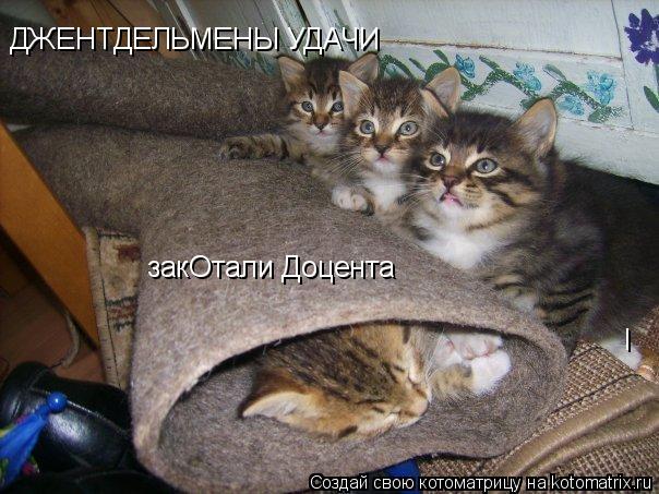 l ДЖЕНТДЕЛЬМЕНЫ УДАЧИ закОтали Доцента... Котоматрица: l ДЖЕНТДЕЛЬМЕНЫ УДАЧИ закОтали Доцента