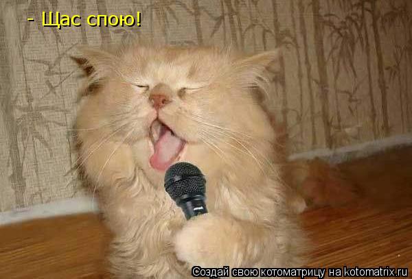 - Щас спою!... Котоматрица: - Щас спою!