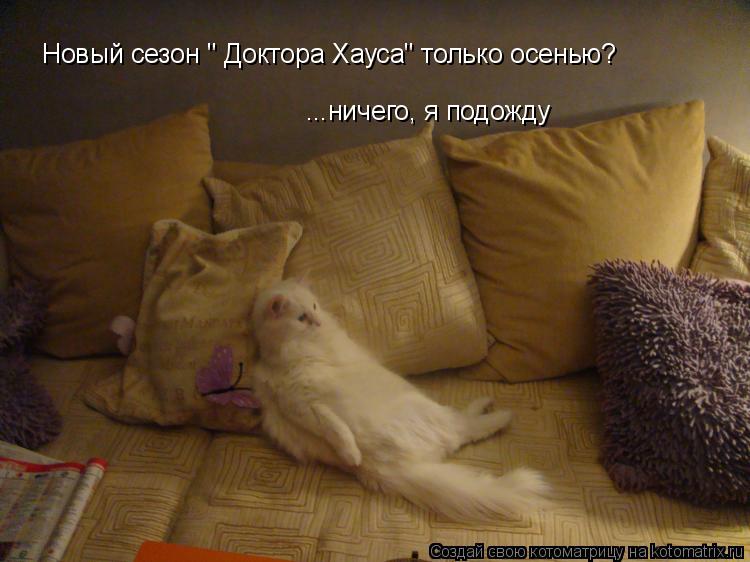 Новый сезон " Доктора Хауса" только осенью? ...ничего, я подожду... Котоматрица: Новый сезон " Доктора Хауса" только осенью? ...ничего, я подожду