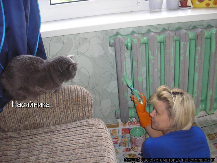 Насяйника... Котоматрица: Насяйника